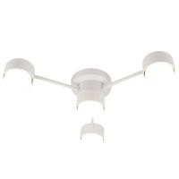 Потолочный светильник Feron AL268 53099