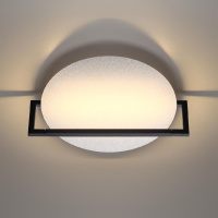 Настенно-потолочный светильник Odeon Light Lunar 7015/15WL