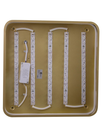 Потолочный светильник Zortes Gabby ZRS.1215.03