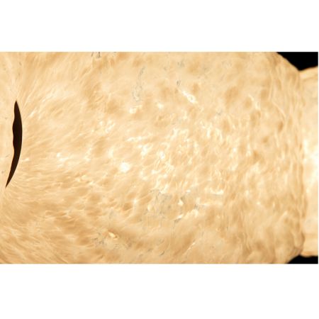 Подвесной светильник Divinare Nebula 1572/05 SP-30