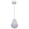 Подвесной светильник Reluce 16007-0.9-001IL E27 WT