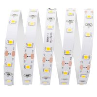 Светодиодная лента Apeyron 12В СТ 4,8Вт/м smd3528, 60д/м IP20 280Лм/м 5м 4000К 00-142