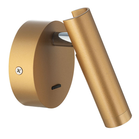 Спот Citilux Dekart CL704102