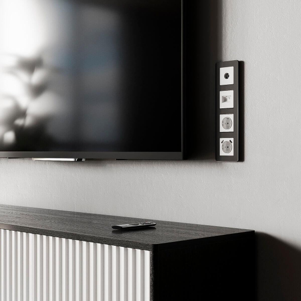 ТВ-розетка оконечная (белый матовый) W1183061 Werkel