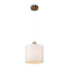 Подвесной светильник Freya Dreamy FR5265PL-01BS