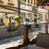 Уличный светильник Feron Флер PL594 11622