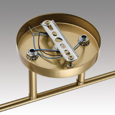 Потолочный светильник Lumion Vivian 8188/2C