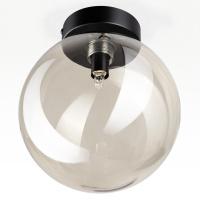 Потолочный светильник Citilux Orton CL202511