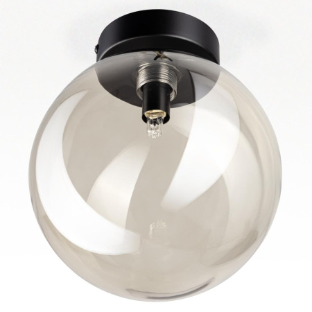 Потолочный светильник Citilux Orton CL202511