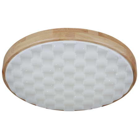 Потолочный светильник Reluce 60530-0.2-60W