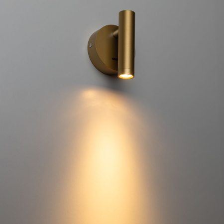 Спот Citilux Dekart CL704102