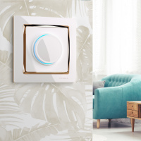 Рамка Snabb на 1 пост белый/золото WL03-Frame-01-white-GD Werkel