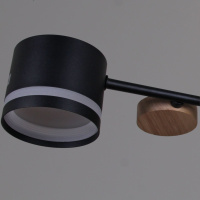 Люстра на штанге Reluce 68730-0.3-10 GX53 BK+WOOD