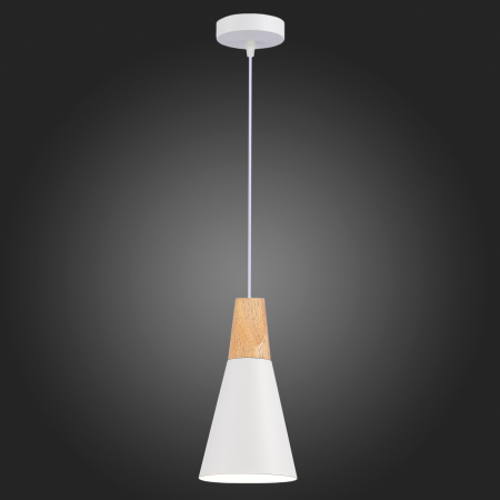 Подвесной светильник Evoluce Modica SLE125153-01