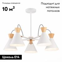 Потолочная люстра Evoluce Modica SLE125102-05
