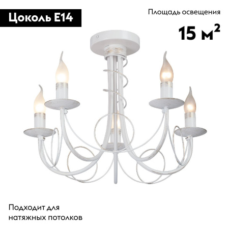 Потолочная люстра Vitaluce V3035-0/5PL