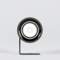 Ландшафтный светильник Elektrostandard Landscape 35190/S 4690389216411 a070269