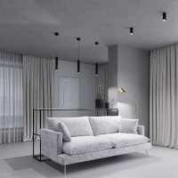 Потолочный светильник Elektrostandard Trio 25110/LED черный a067064