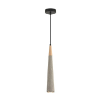 Подвесной светильник Lumion Suspentioni Eoliana 8351/1C