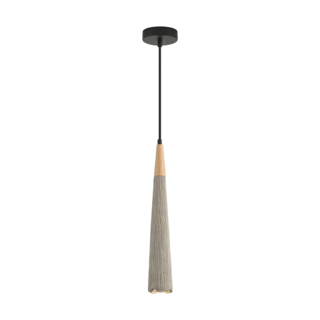 Подвесной светильник Lumion Suspentioni Eoliana 8351/1C