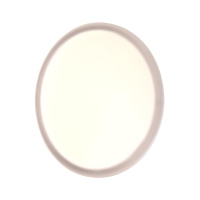 Настенно-потолочный светильник Sonex Pale Jolly 7776/DLN