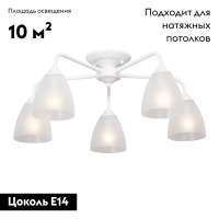 Потолочная люстра Vitaluce V3946-0/5PL