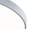 Потолочный светильник Freya Sprida FR6129CL-L80GR
