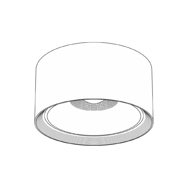 Накладной светильник Citilux Rover CL743090N