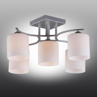 Потолочная люстра Pisticci OML-55307-05