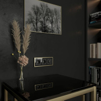 Рамка на 3 поста Baguette (черный/латунь) W0032852 Werkel