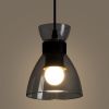 Подвесной светильник Freya Topi FR5503PL-01B