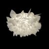 Потолочный светильник Loft IT Clizia 10594/530C White