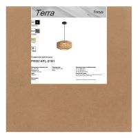 Подвесной светильник Freya Terra FR5514PL-01B1