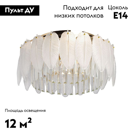 Потолочная люстра De Markt Бриз 111017305