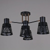 Потолочная люстра Reluce 06074-3.3-04 BK+FG