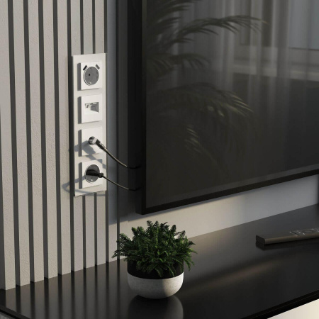 ТВ-розетка оконечная (белый матовый) W1183061 Werkel