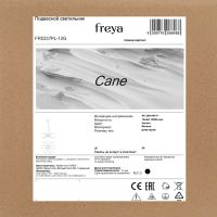 Подвесной светильник Freya Сane FR5337PL-12G