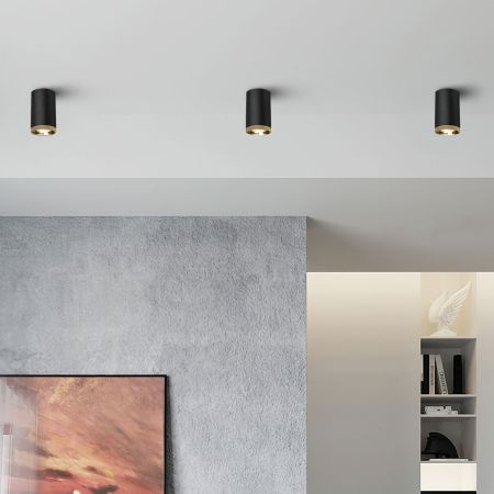 Потолочный светодиодный светильник Elektrostandard Lead 25033/LED черный a062522