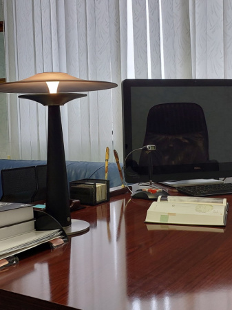 Настольная лампа Lussole Major LSP-4008