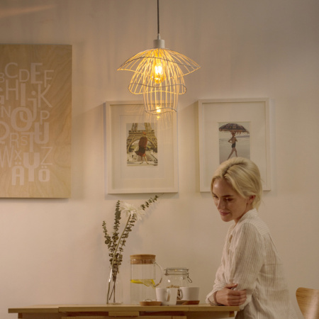 Подвесной светильник ImperiumLoft Papillon Forestier 101803-26