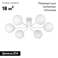 Потолочная люстра Vitaluce V4995-0/6PL
