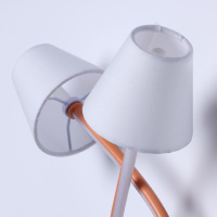 Настенный светильник MW-Light Аэлита 480022902