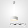 Подвесной светильник ImperiumLoft Siggen 212932-23