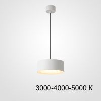 Подвесной светильник ImperiumLoft Siggen 212932-23