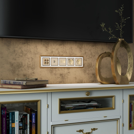 Акустическая розетка шампань WL11-AUDIOx4 Werkel