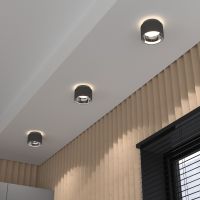 Потолочный светильник Elektrostandard Charlie 1069 GX53 GR графит