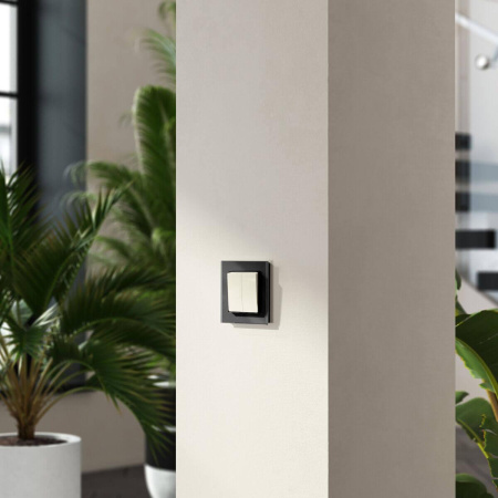 Перекрестный переключатель двухклавишный (слоновая кость) W1123003 Werkel