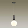 Подвесной светильник Odeon Light Pendant Okia 4668/1