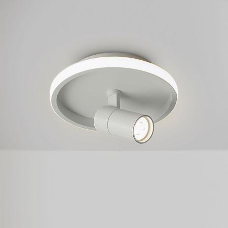 Потолочный светильник Freya Neo FR6040CL-L14W