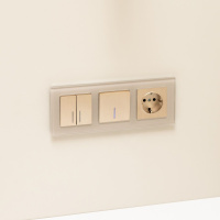 Выключатель двухклавишный с подсветкой шампань рифленый WL10-SW-2G-LED Werkel